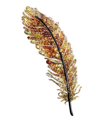 Feather, Leaf, Plant, Flower, Twig, Fashion accessory, Broomrape, Vascular plant, 