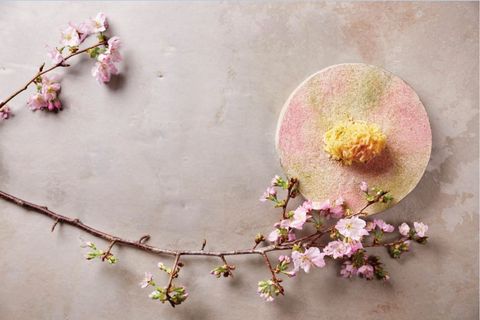 Pink, Flower, Still life photography, Blossom, Spring, Branch, Plant, Petal, Floral design, Cherry blossom, 