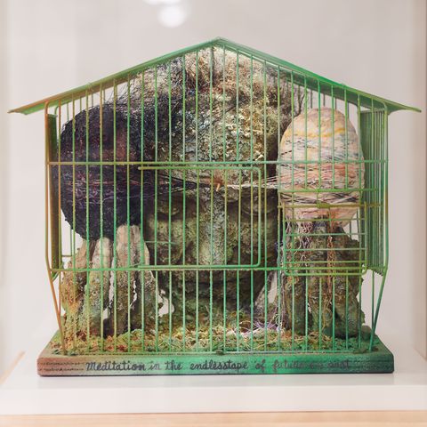 Cage, Pet supply, Creative arts, 