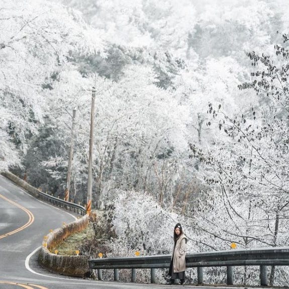 台灣下雪了 太平山 思源啞口 合歡山變銀白世界 張美得不可思議打卡照宛如仙境 台灣下雪了 太平山 思源啞口 合歡山變銀白世界 張美得不可思議打卡照宛如仙境