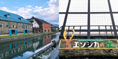 北海道,旅遊,小樽運河,觀光,日本,人氣,景點,必訪,景點
