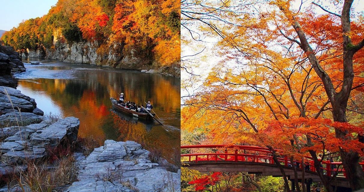 秋意漸濃預備飛往日本賞紅葉 日本4大絕美賞楓景點推薦