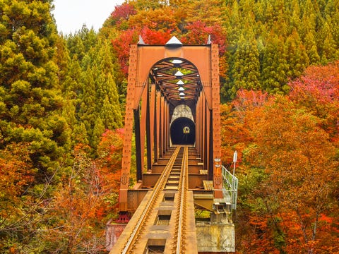 一次看盡日本東北秋景 鐵道穿梭紅葉林 乘輕舟看山楓 纜車俯瞰全景 盤點5個非去不可的賞楓祕境