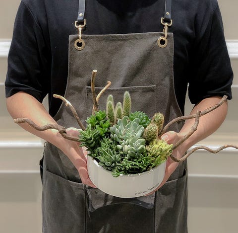 植感系防疫!給新手的「植物照顧小技巧+5間直送到家花店」推薦 植感系防疫!給新手的「植物照顧小技巧5間直送到家花店」推薦