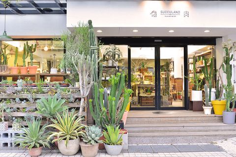 比咖啡廳更絕美夢幻 全台北中南6間 質感植物店 推薦