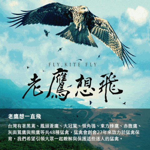 社團法人台灣猛禽研究會,老鷹,捐款,野生動物