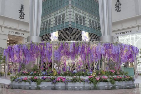 台北101紫色秘境