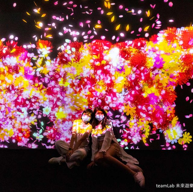 史上最美互動展teamlab回來台灣了！700坪未來遊樂園、九大展區、超酷藝術變革，2021夏天必去展覽