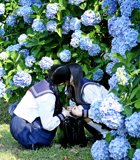 日本 百合展 呈現女孩間的真實愛戀 女女戀不是禁忌 這畫面太美我不敢看