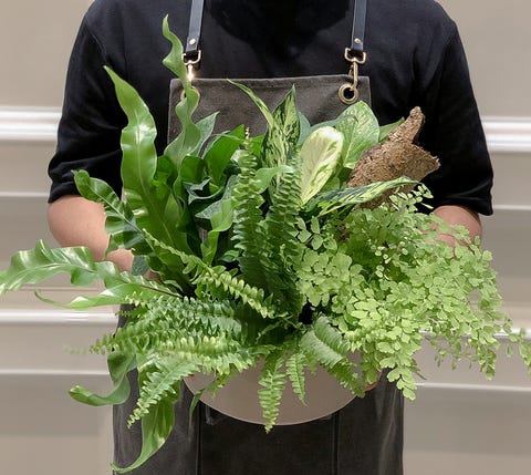 植感系防疫!給新手的「植物照顧小技巧+5間直送到家花店」推薦 植感系防疫!給新手的「植物照顧小技巧5間直送到家花店」推薦