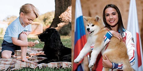 ロシア大統領選目前 愛犬家 プーチン大統領とワンコのベストショット12