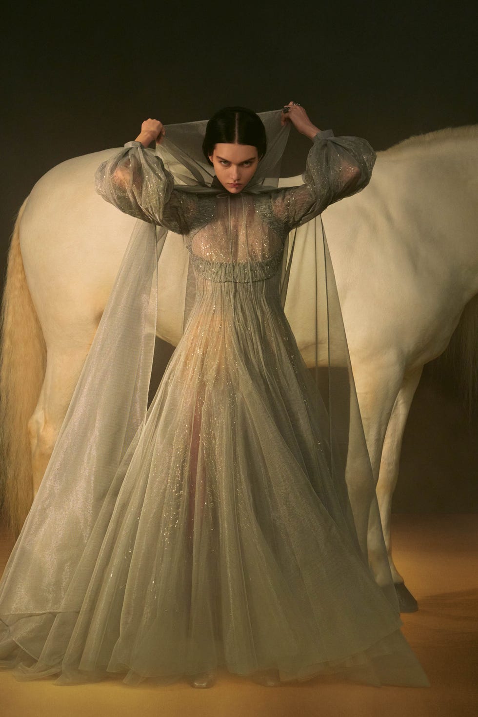 https://hips.hearstapps.com/hmg-prod.s3.amazonaws.com/images/00044-dior-couture-spring-2021-credit-elina-kechicheva-1611925932.jpg?resize=980%3A%2A