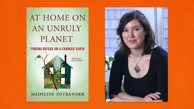 in ‘at home on an unruly planet finding refuge on a changed earth,’ madeline ostrander searches for community in the wake of climate change