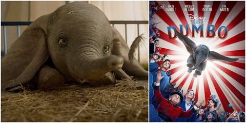 小飛象,預告,迪士尼,dumbo,電影,真人版電映,上映日期,故事