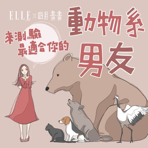 情人節心理測驗 誰才是最適合你的動物系男友 情人節心理測驗 誰才是最適合你的動物系男友