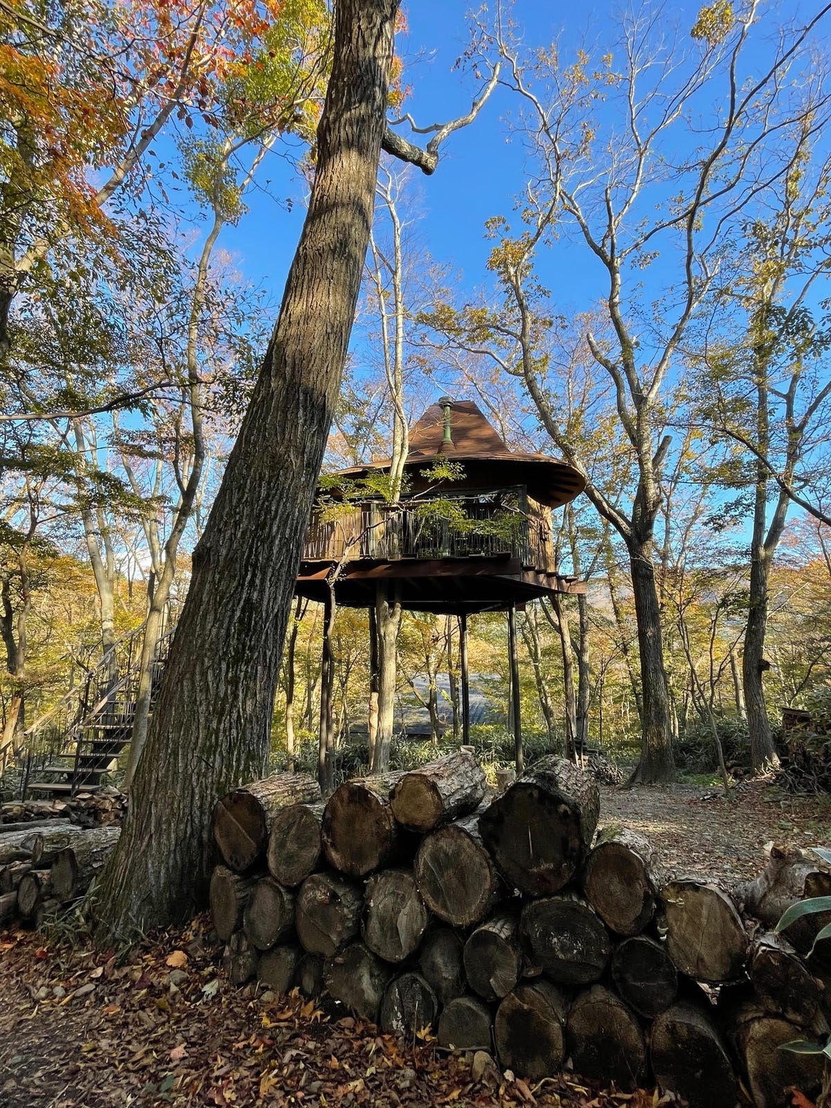 ツリーハウスに泊まろう 箱根の 火の山のツリーハット