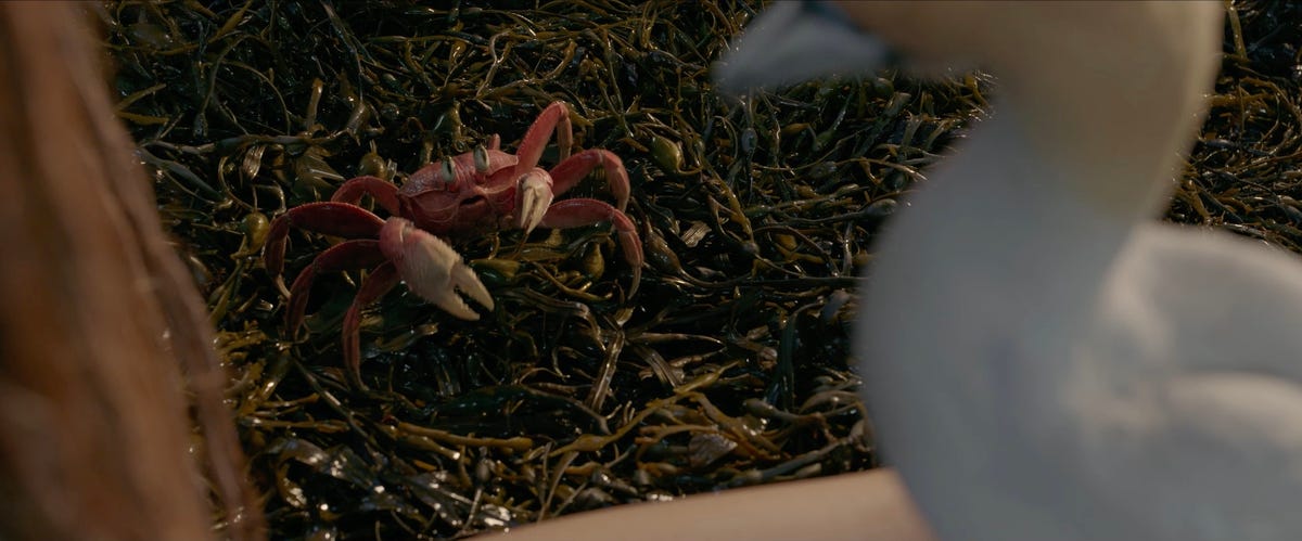 5 reasons why everyone is talking about the trailer for ‘The Little Mermaid’