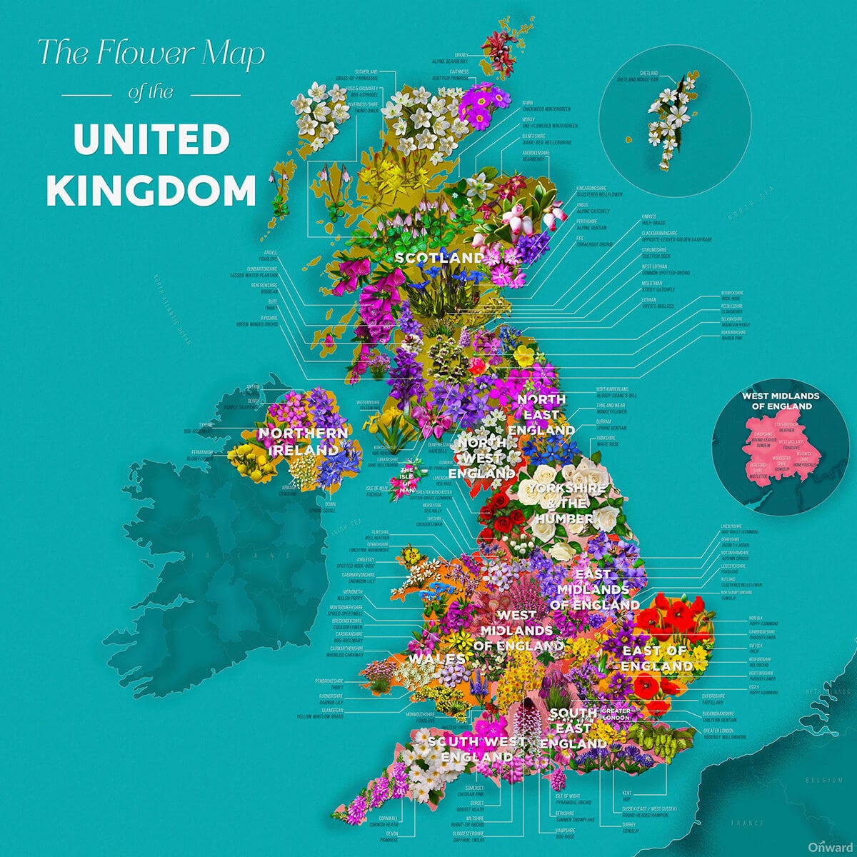 Colourful Map Illustrates The Wildflowers That Represent ...