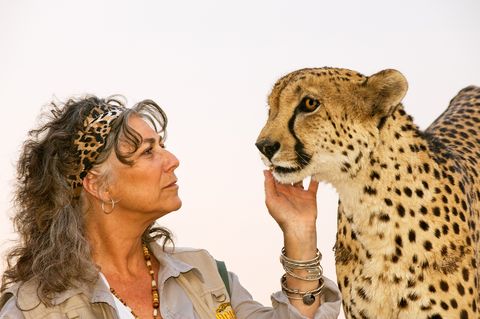 Laurie Marker è una delle massime esperte di ghepardi al mondo.