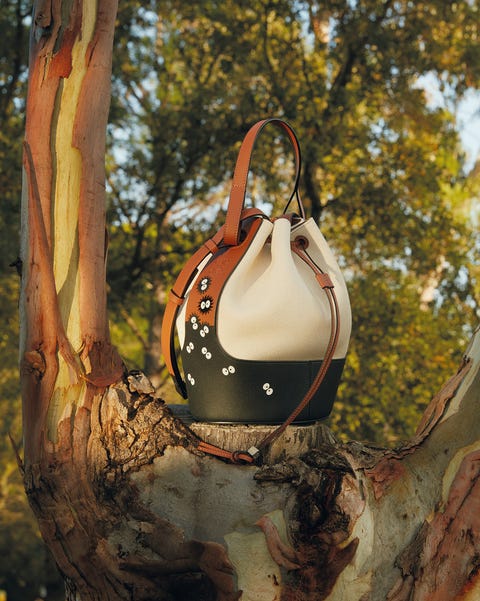 LOEWE x My Neighbor Totoro loewe x my neighbor totoro