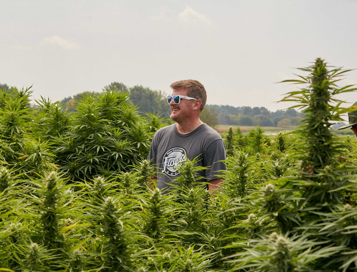 02-bryanbanducci-floyd-cbd-q2a0816-1572983820.jpg?crop=0.953xw:0.627xh;0.0474xw,0.163xh&resize=1200:*