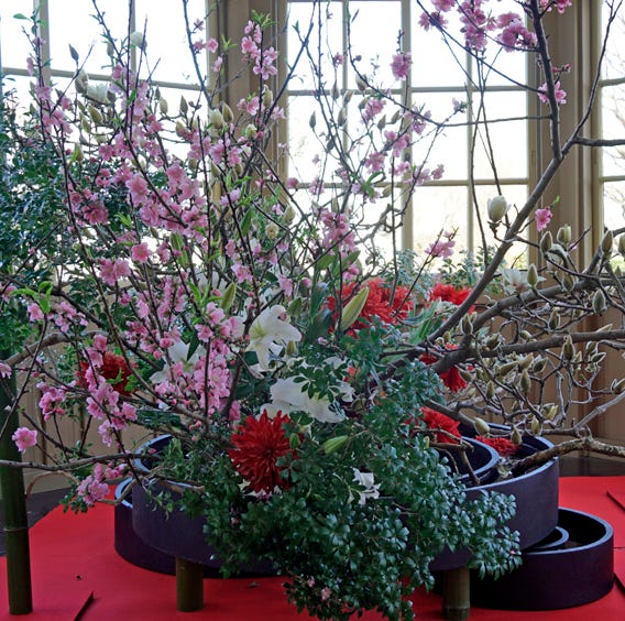 各地から届く春の花便り 3月のいけばな展4選 各地から届く春の花便り 3月のいけばな展4選