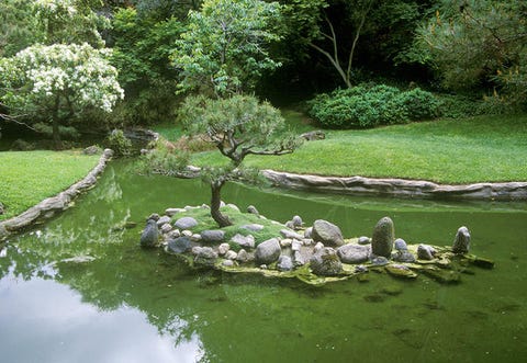 I giardini giapponesi che puoi vedere senza andare in giappone Giardini giapponesi in italia