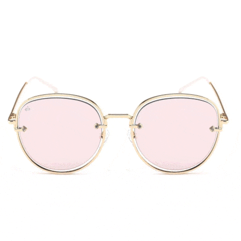 19 Best Sunglasses Brands Of 2021 Best Shades For Women