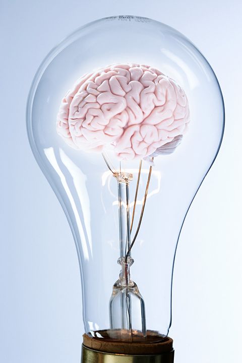 Head, Brain, Organ, Human body, Muscle, Lamp, Human anatomy, Neck, Illustration, Peach, 
