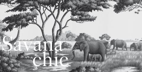 Wildlife, Elephant, Terrestrial animal, Natural landscape, Elephants and Mammoths, African elephant, Adaptation, Tree, Organism, Indian elephant, 