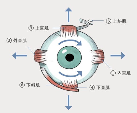 上班緊盯螢幕眼睛疲勞 眼球乾澀 眼球瑜珈 5步驟教你如何舒緩眼睛痠痛