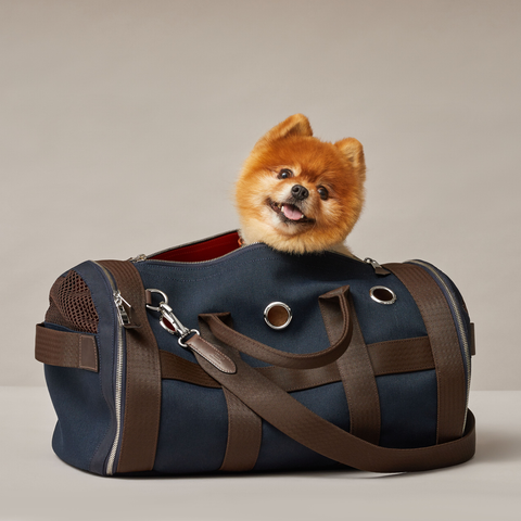 愛犬や愛猫のおしゃれも叶う 人気ブランドのペットグッズ26選 愛犬や愛猫のおしゃれも叶う 人気ブランドのペットグッズ26選