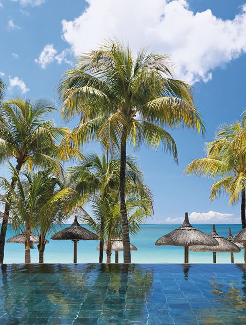Tree, Palm tree, Tropics, Sky, Arecales, Vacation, Resort, Caribbean, Swimming pool, Woody plant, 