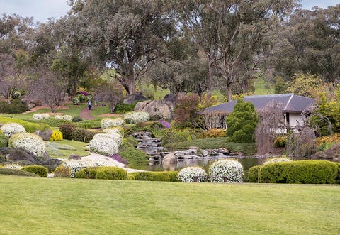 I giardini giapponesi che puoi vedere senza andare in giappone Giardini giapponesi in italia