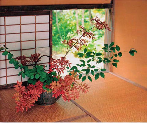 9月のいけばな 秋の七草 生け花 いけばな 生花 華道 9月のいけばな 秋の七草 生け花 いけばな 生花 華道