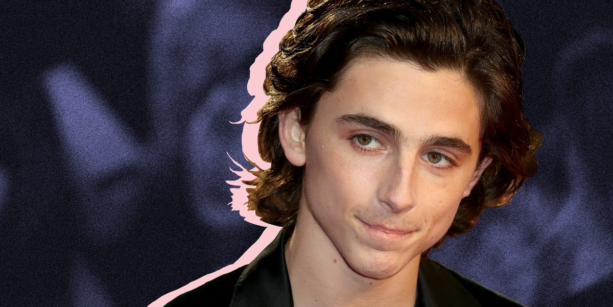 This Week in Timothée Chalamet, August 17 Edition This Week in Timothée Chalamet, August 17 Edition
