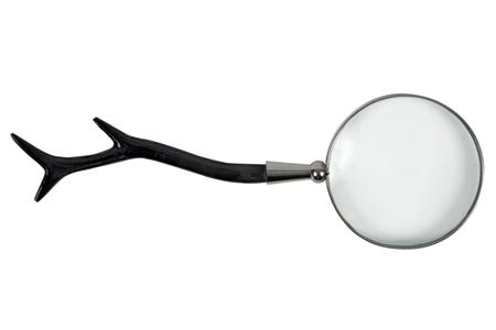 Jayson twig magnifier Christmas gifts: magnifying glass