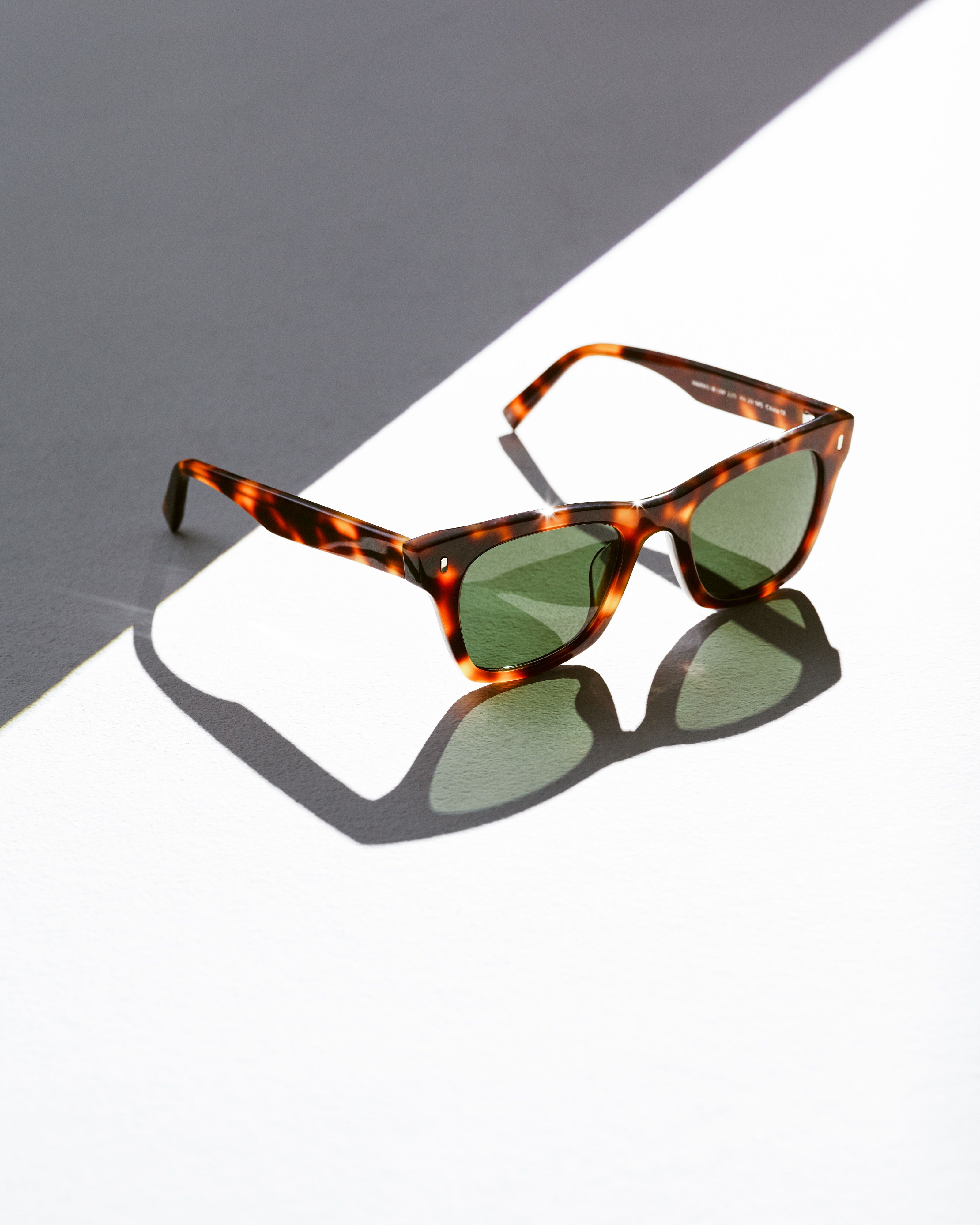 Warby Parker Harris Wayfarer Sunglasses 
