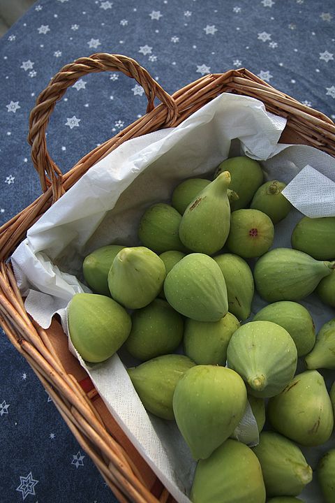 figs, poggio pilella farm holidays, chiusi, val di chiana, tuscany, italy photo by enrico caraccioloredacouniversal images group via getty images
