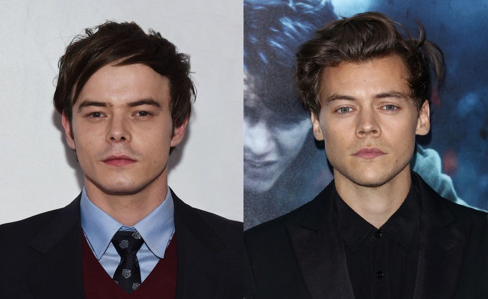 Charlie Heaton and Harry Styles Are Twins