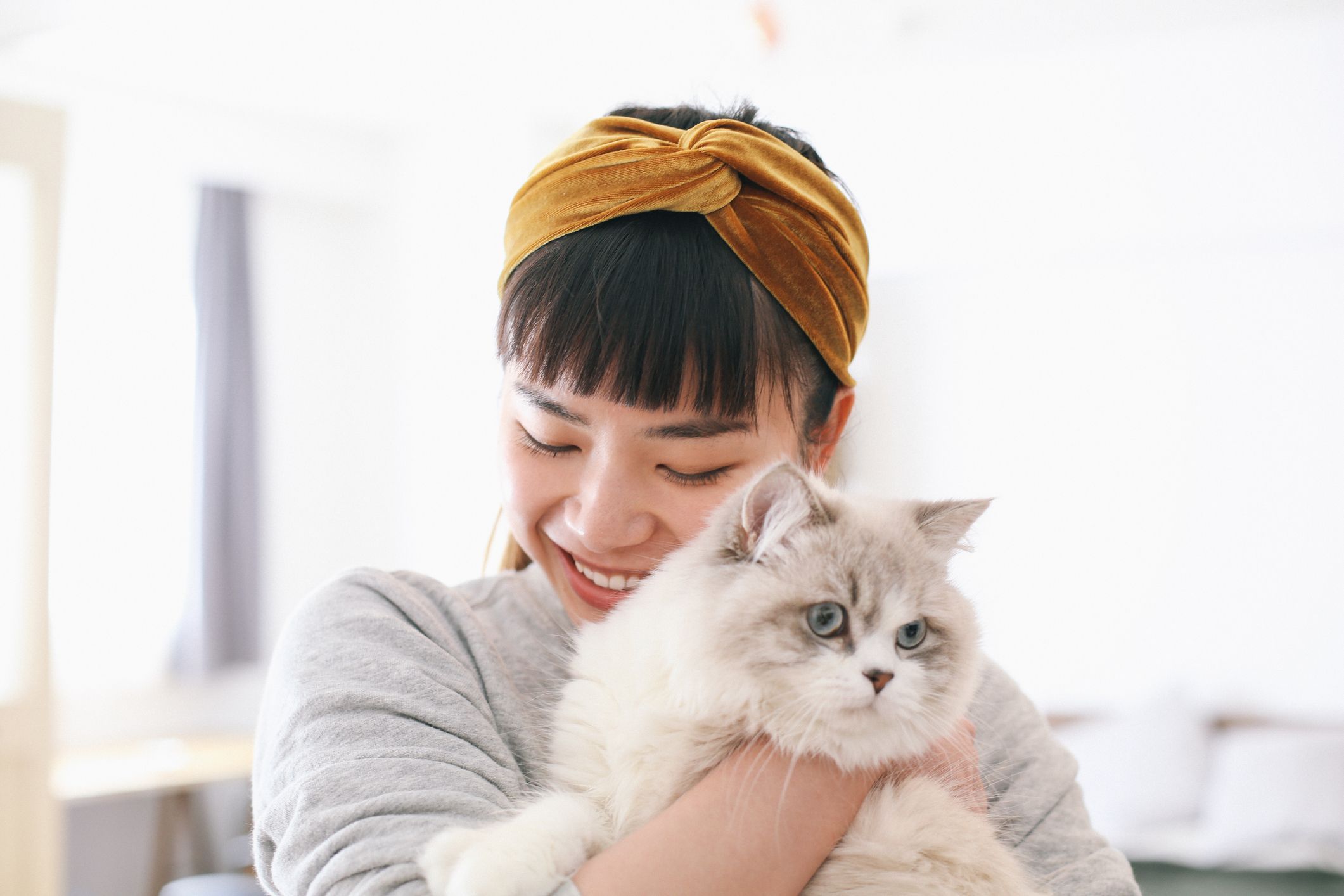 猫を飼うと 健康になるメリットが 癒やし効果を科学が証明 Elle Decor エル デコ