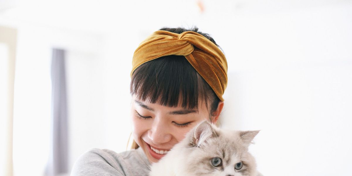 猫を飼うと 健康になるメリットが 癒やし効果を科学が証明 Elle Decor エル デコ