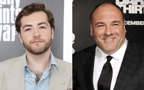 michael and james gandolfini