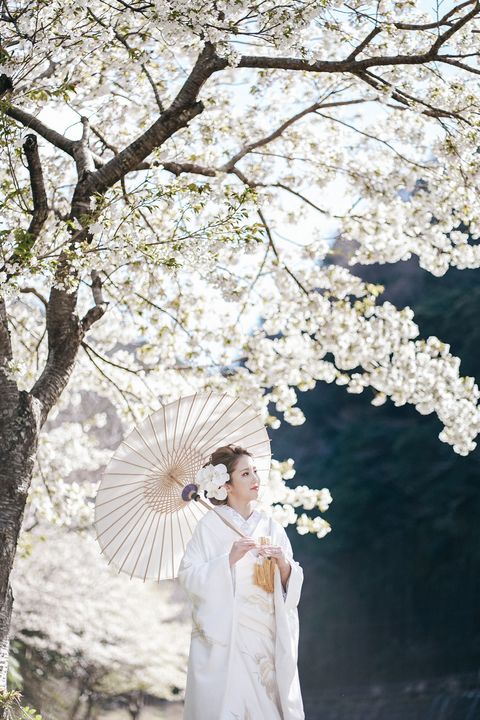 桜の時期の伊豆で和装前撮り