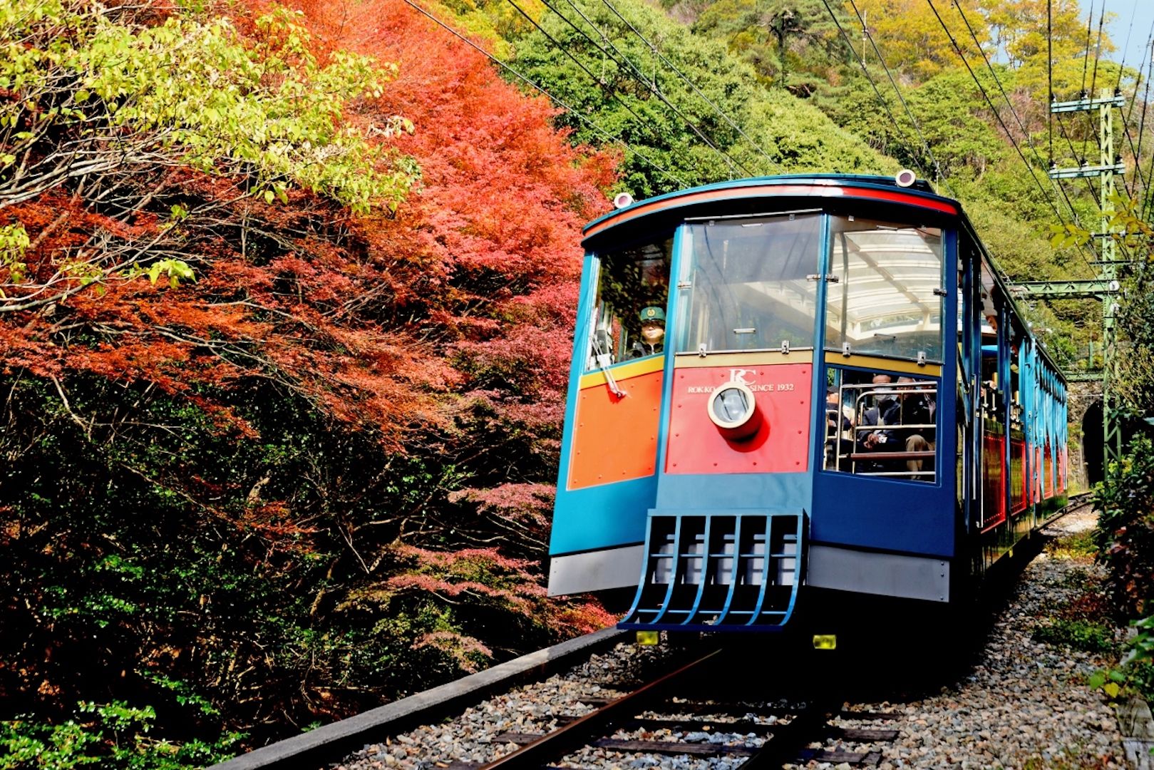 日本神戶賞楓攻略 秘境楓葉森林 絕美透明纜車 8大景點推薦