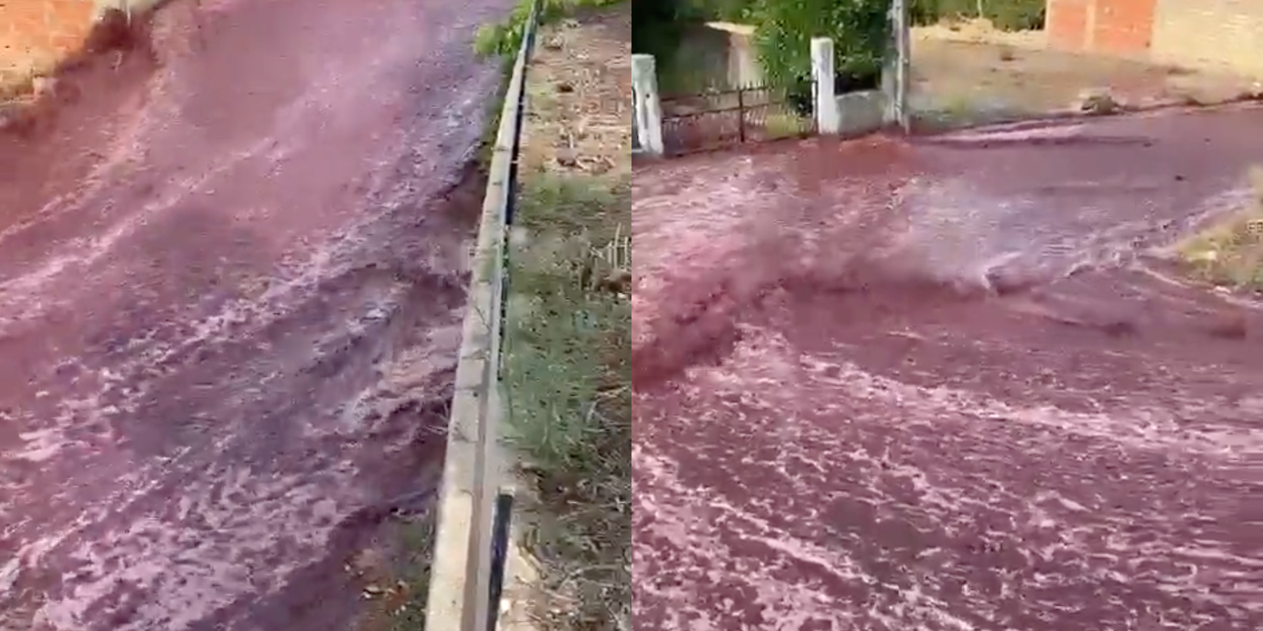 Red Wine Floods A Small Town After Winery Tank Explodes