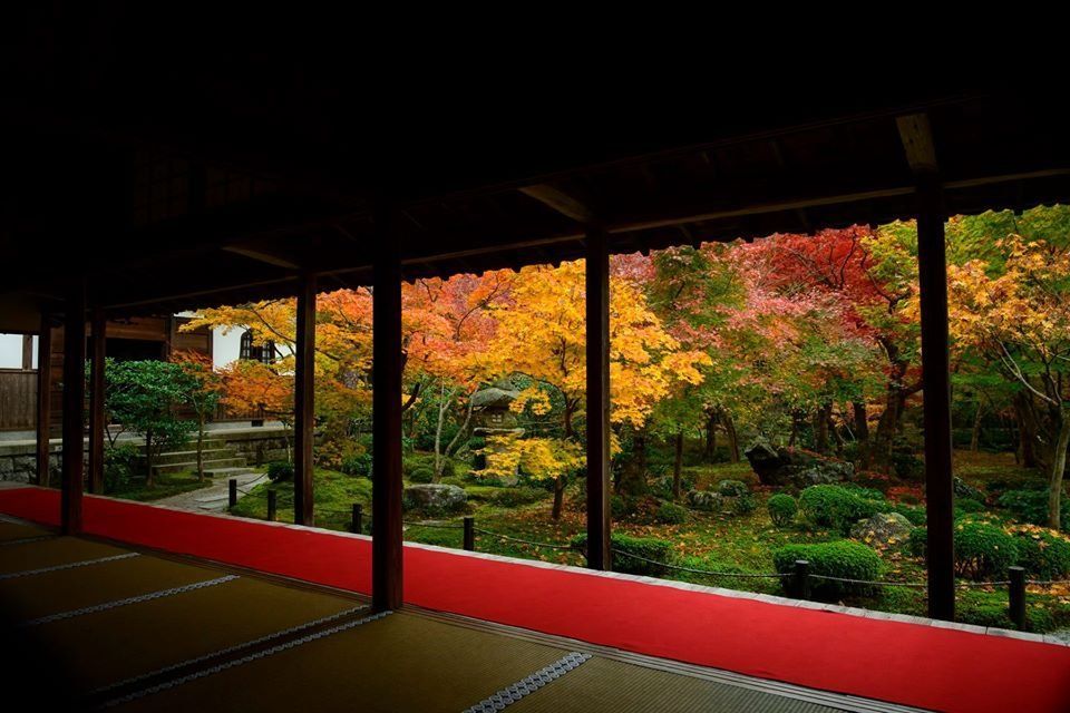 美しい日本 京都の四季 sddefault.jpg?v=63c15a6b