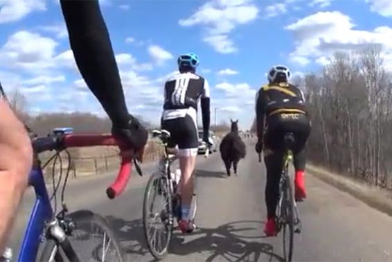 bicycle racing news