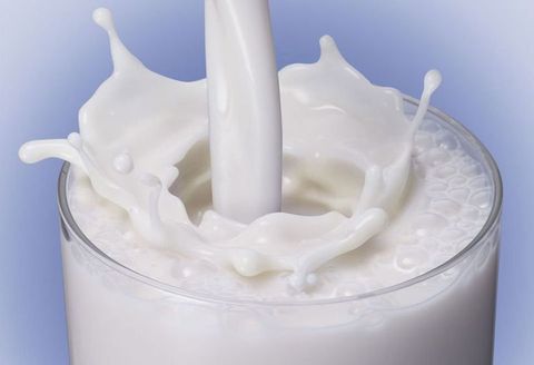 Food, Milk, Lactose, Cream, Dairy, Crème fraîche, Milkshake, Drink, Raw milk, Sour cream, 