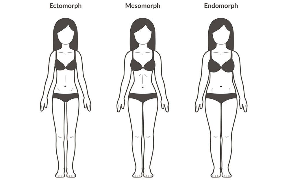 Body female cyclists Anthropometry and